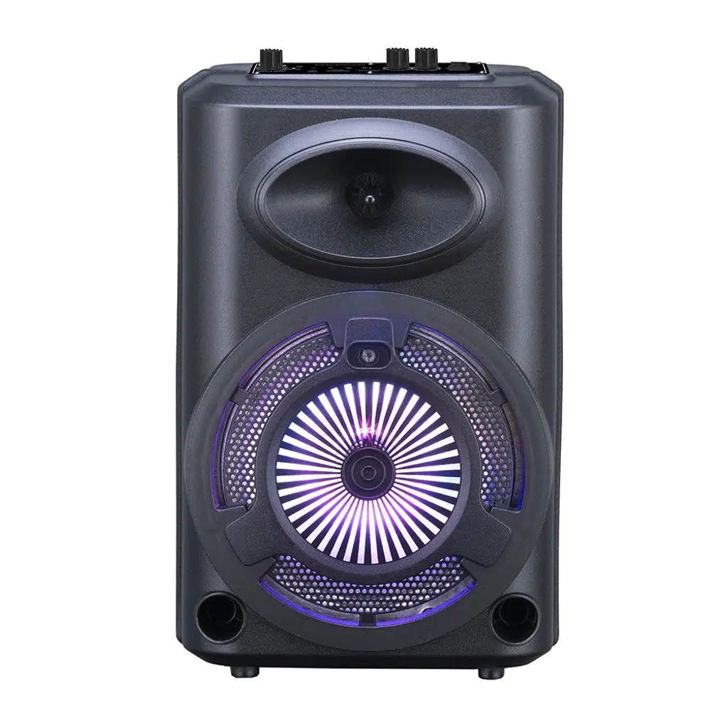 GD-903 Dijital LED Göstergeli FM Radyolu Mikrofonlu RGB TWS 8 inç Stereo Bass Kablosuz Karaoke Hoparlör